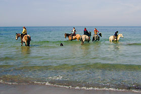 Reiten entlang der Ostsee